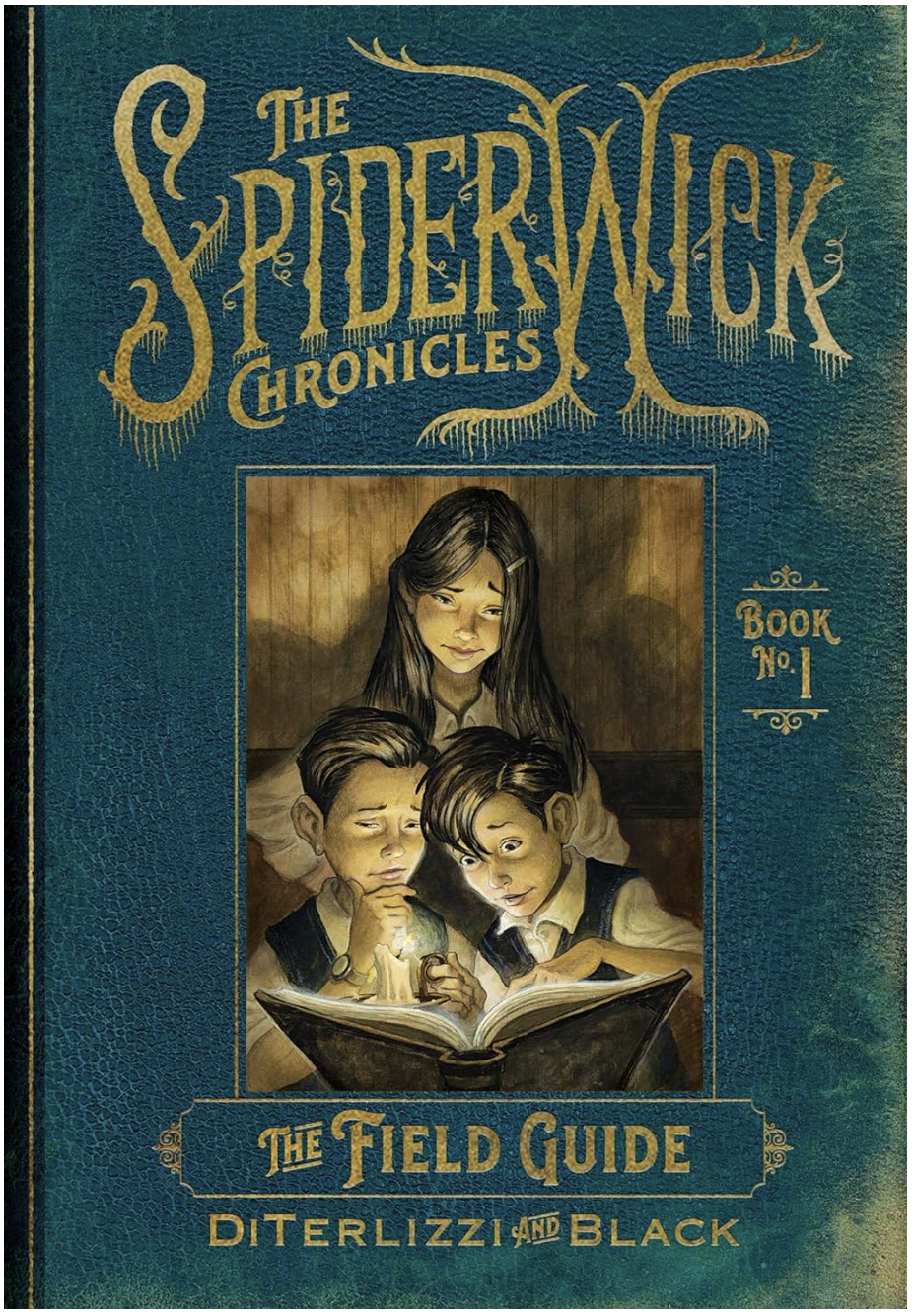 the spiderwick chronicles book