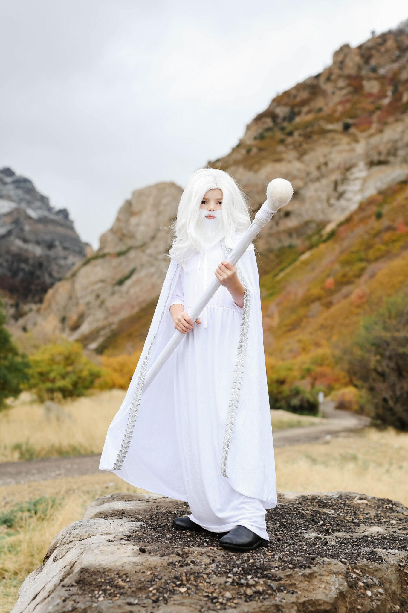 gandalf costume