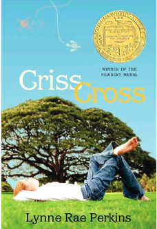 criss cross book