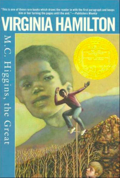 MC Higgins, the Great book