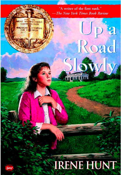 up a road slowly book