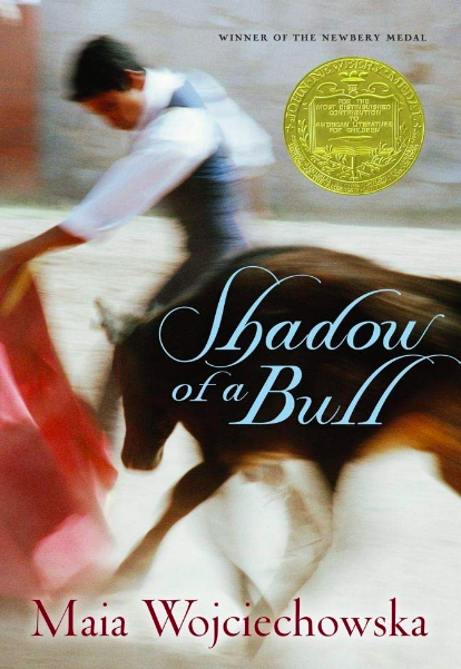 shadow of a bull book