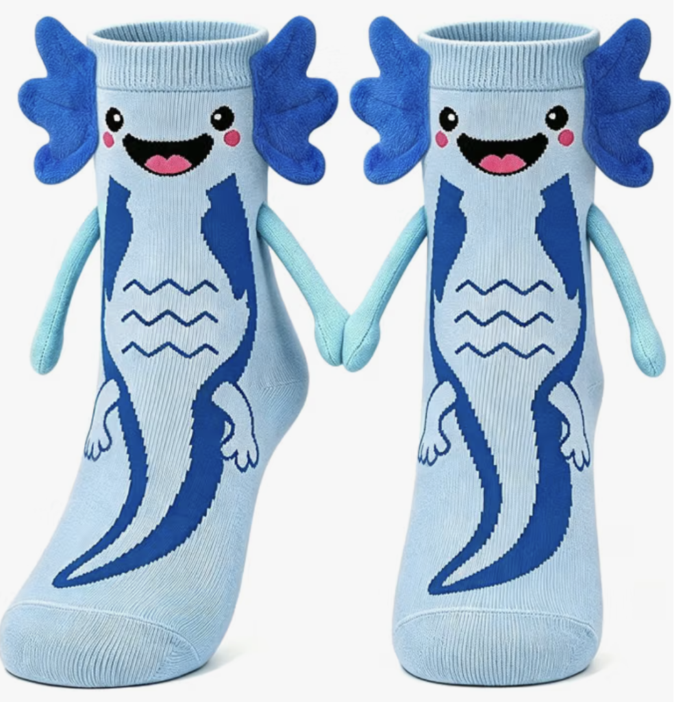 fun socks for teen boys