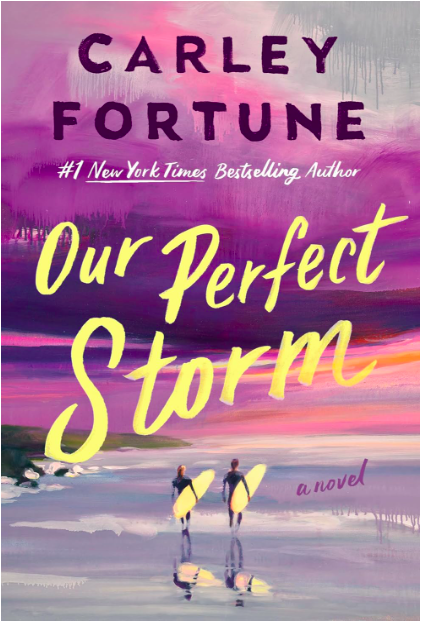 our perfect storm book