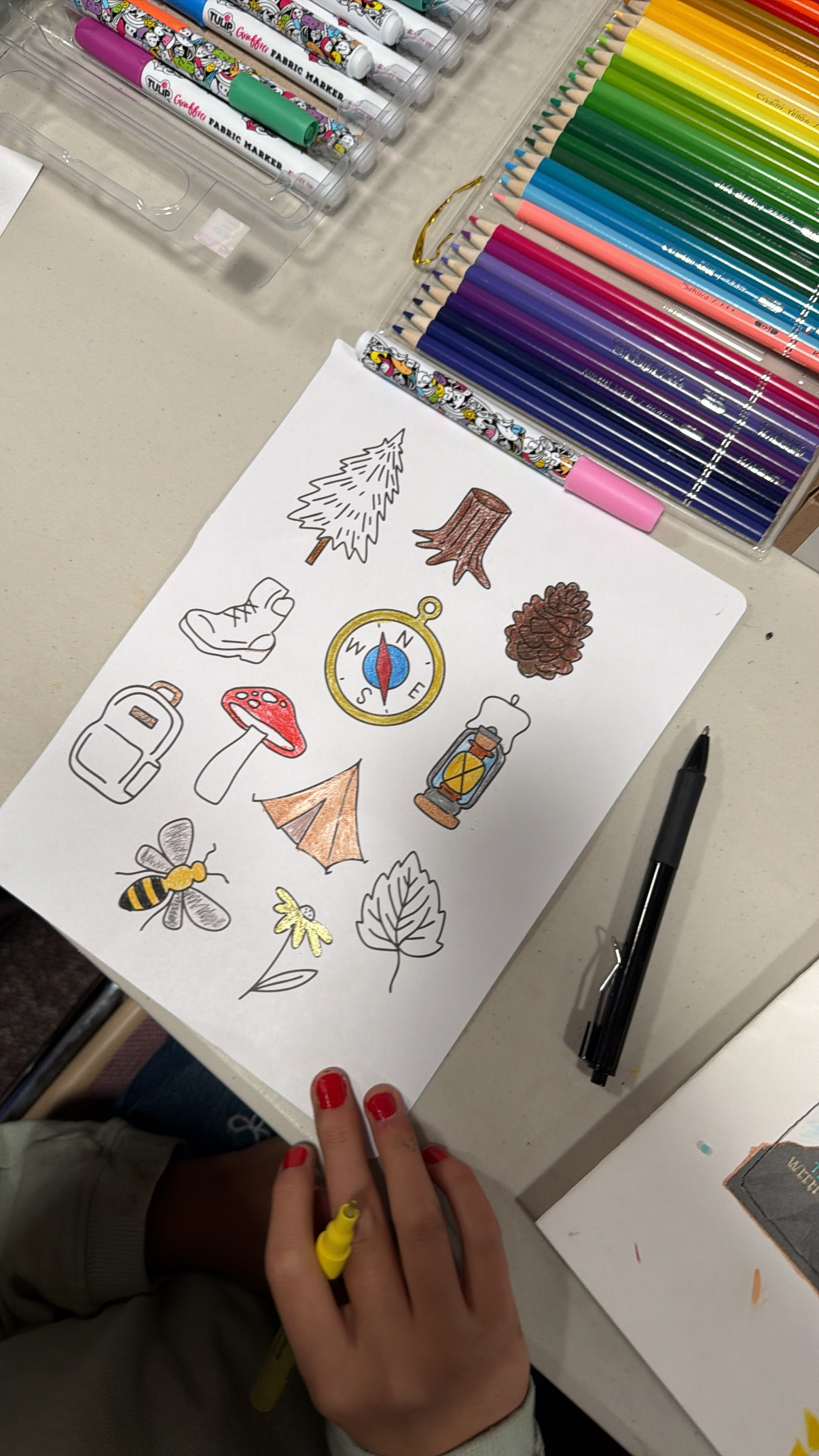 coloring page of things you take or see when you go camping