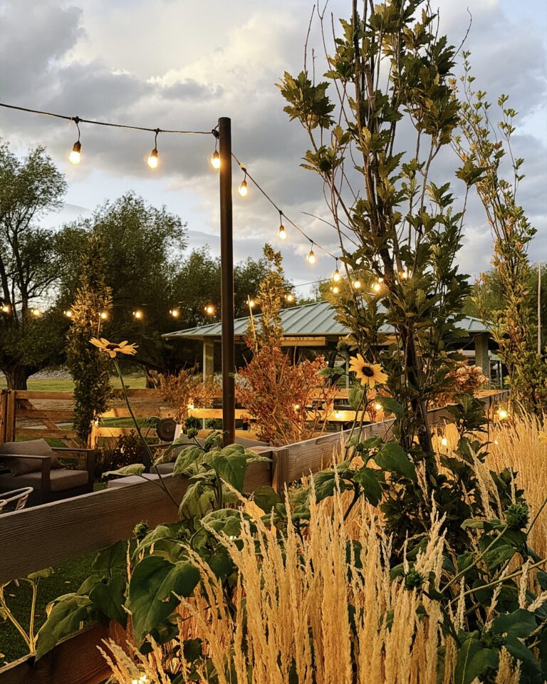 50+ Tips for Romanticizing Fall